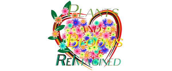 Plants & Blooms Reimagined
